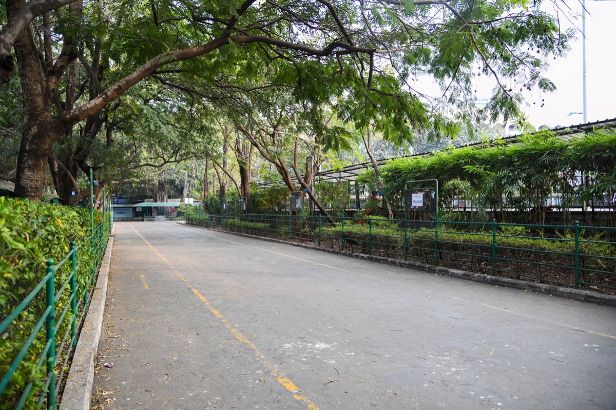 Campus Greenery